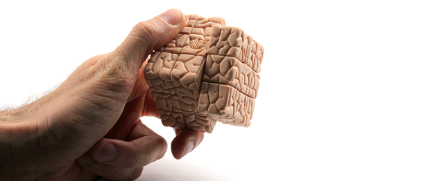 Things We’re Diggin’: Brain Cube by Jason Freeny